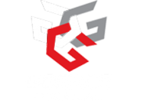 Logo de Gogaco