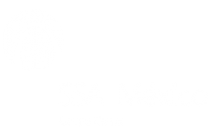 Logo de Ssa Mexico